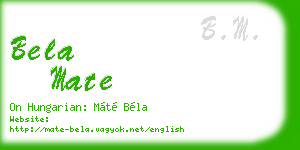 bela mate business card