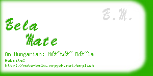 bela mate business card
